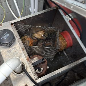 008b94b9-4e5f-4a59-92b7-883e825f7cac