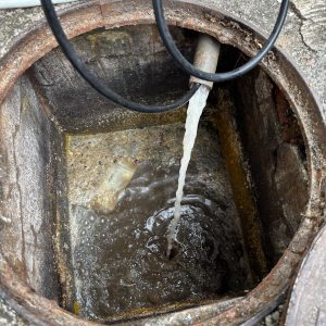 5d5b3131-5473-4101-82f2-dee82f8b1dfa